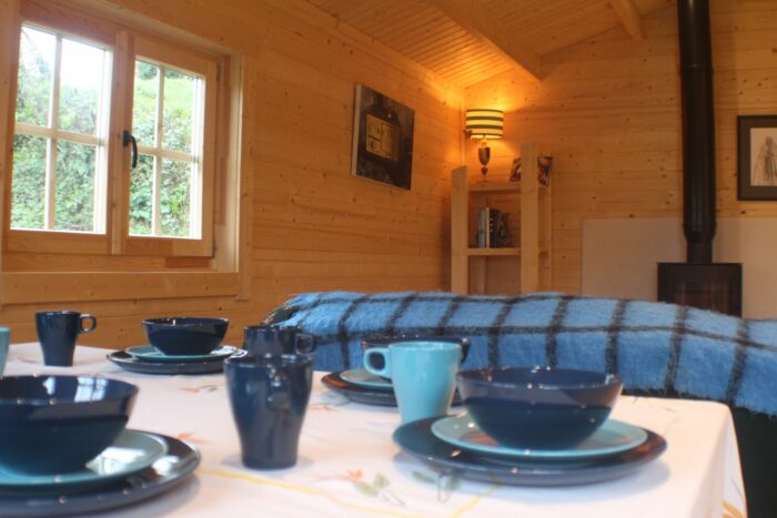 Unfinished log cabin interior
